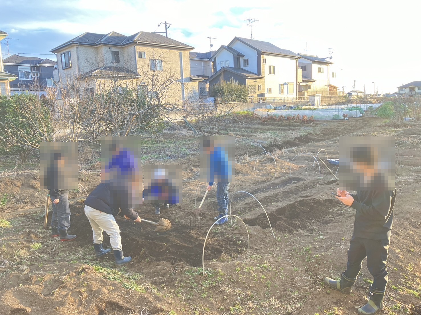 畑での農業体験活動の様子