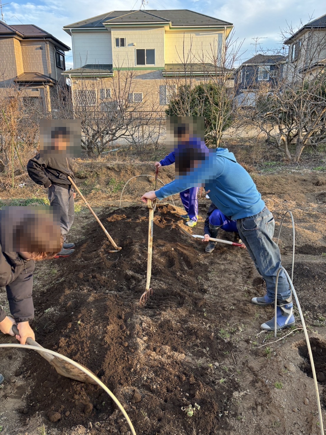 畑での農業体験活動の様子